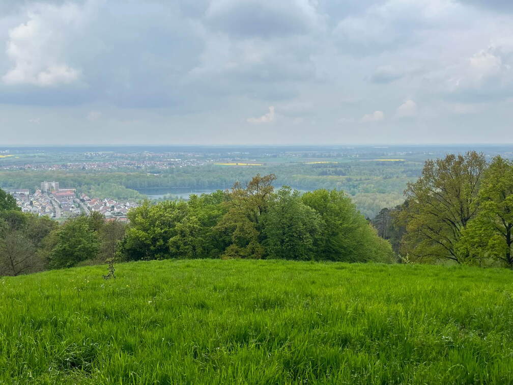 22-04-25 12-46-25 0629